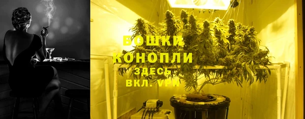 крисы Новокубанск