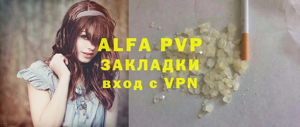 крисы Новокубанск