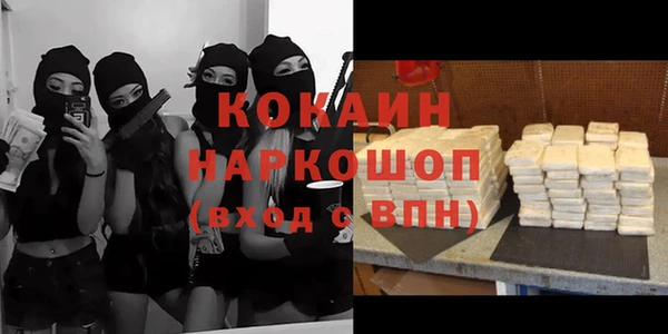 крисы Новокубанск