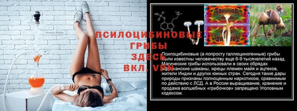 ECSTASY Нея