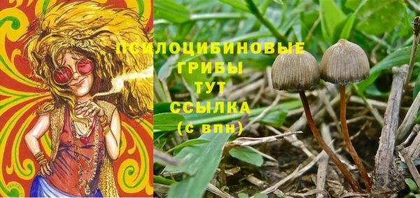 mix Новодвинск