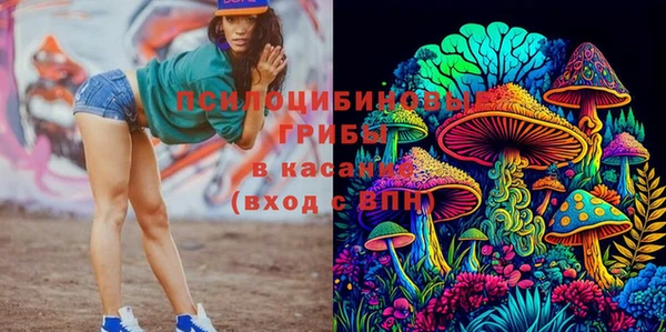 альфа пвп Новозыбков