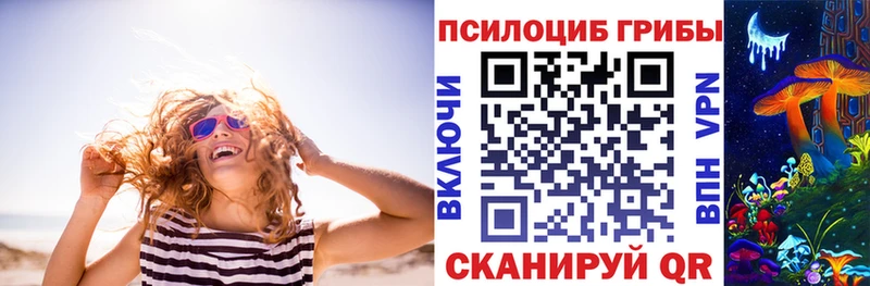 где можно купить Лабытнанги Галлюциногенные грибы GOLDEN TEACHER